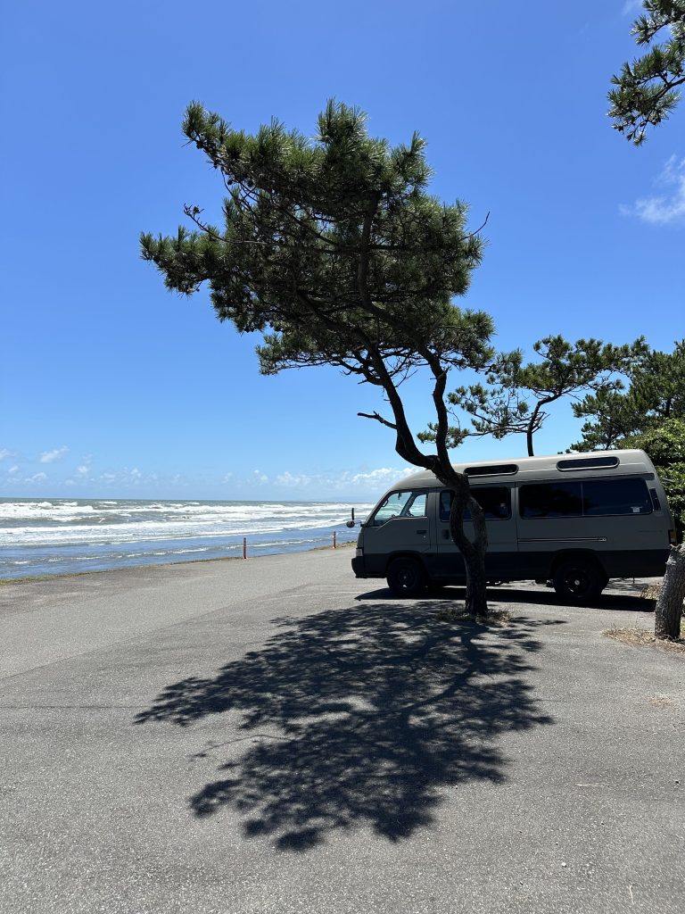 Beach Parking with Japanese Pine Trees - Surf Van in Japan